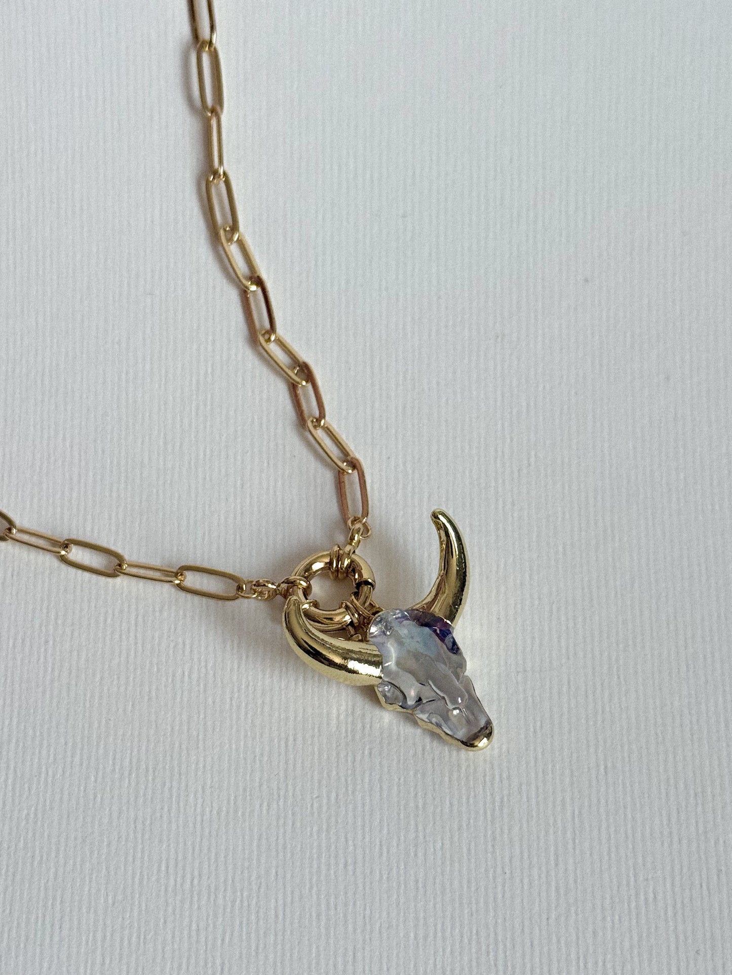 Collar Mini Bull