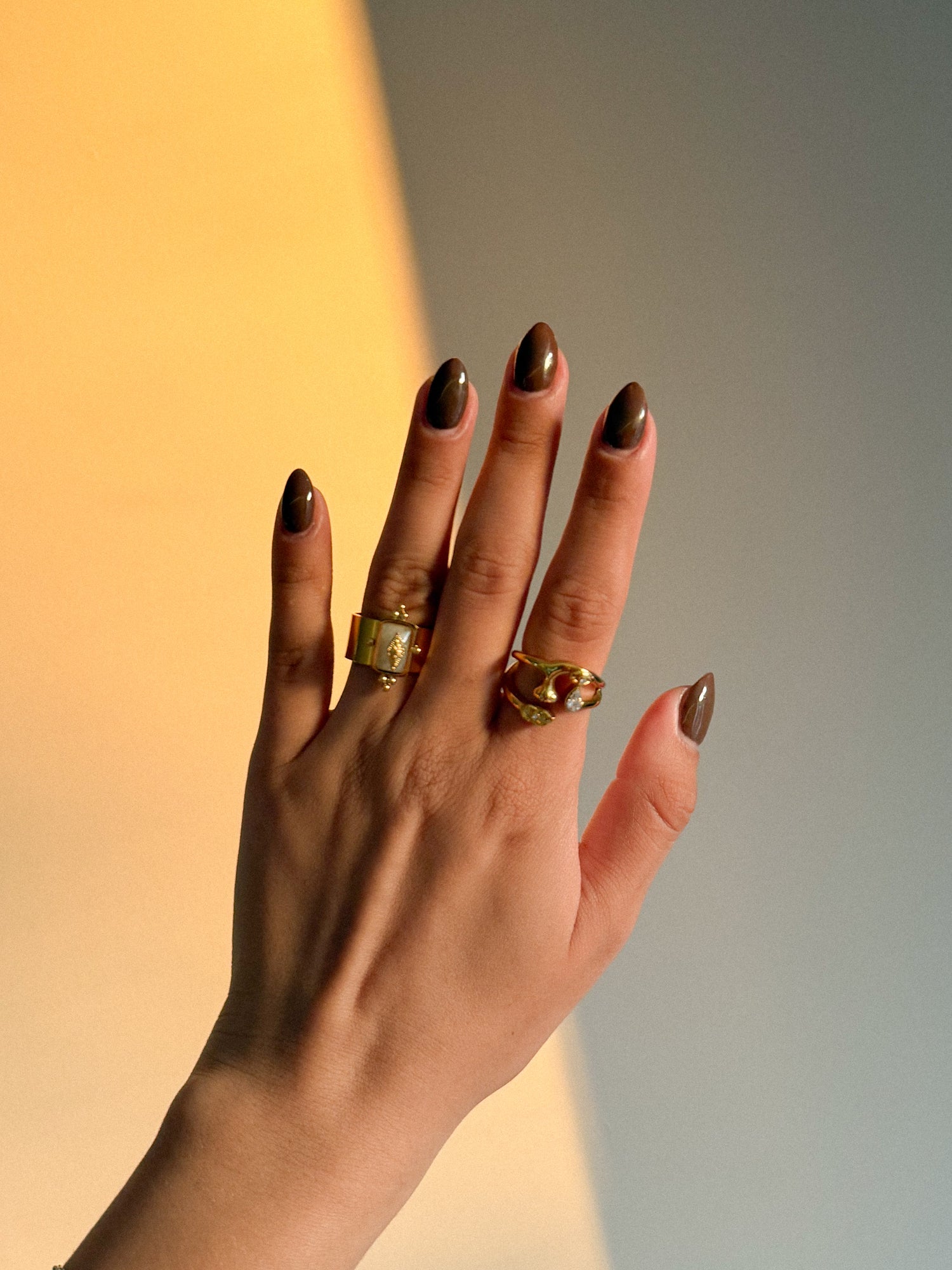 Anillos
