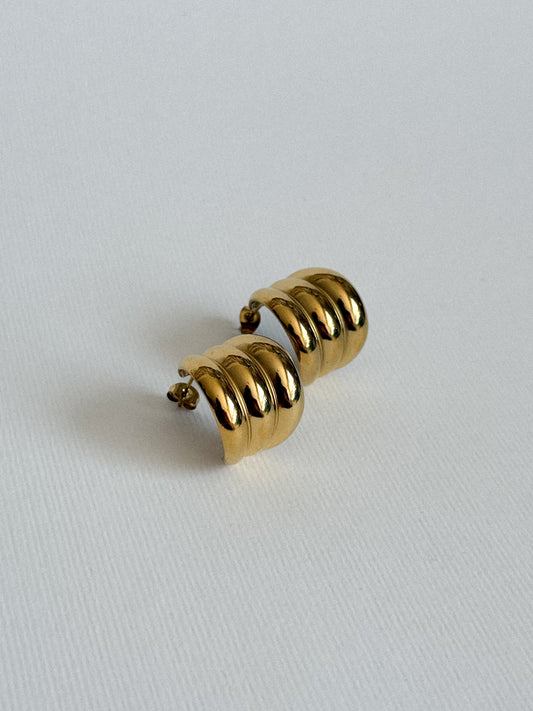 Aretes Nirvana