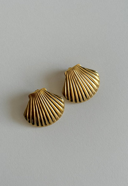Aretes Seashell