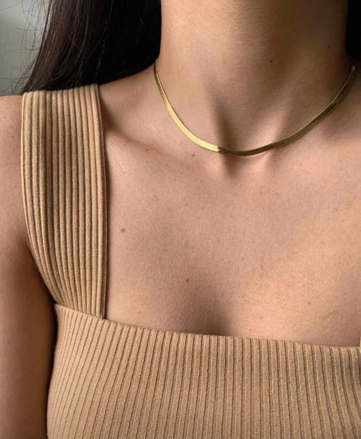 Collar Snake