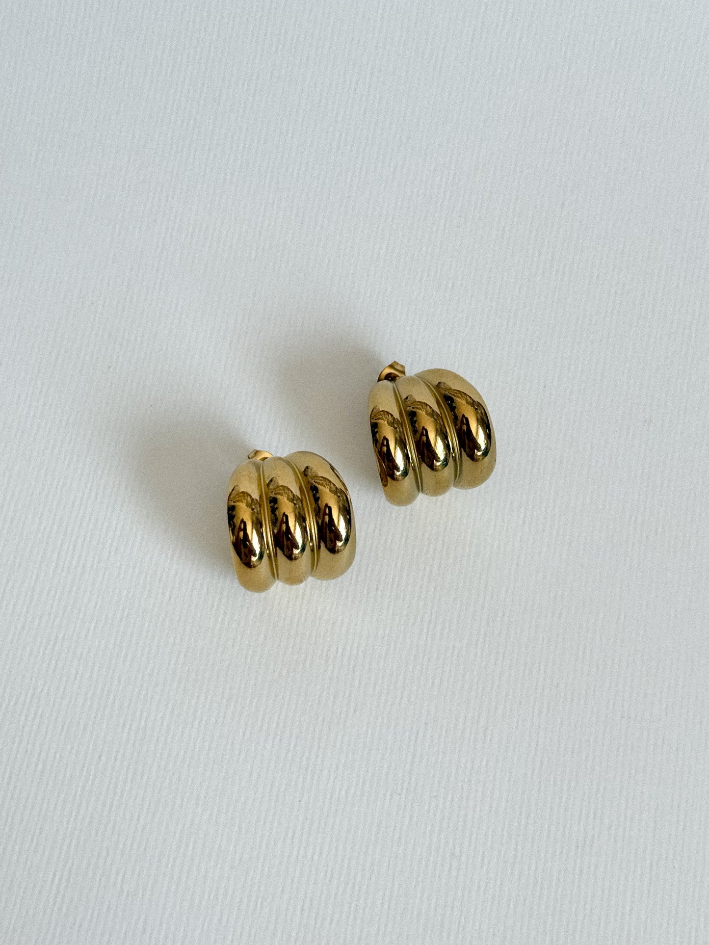 Aretes Nirvana