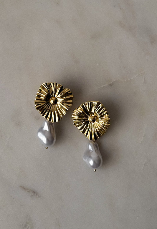 Aretes tina
