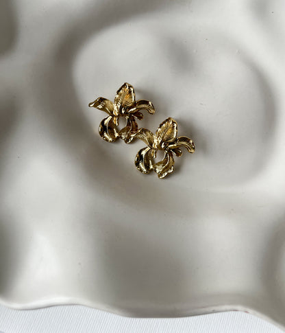 Aretes Lili
