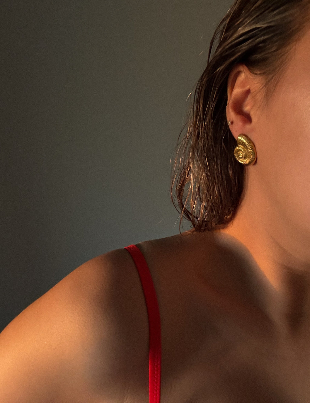 Aretes Caracola