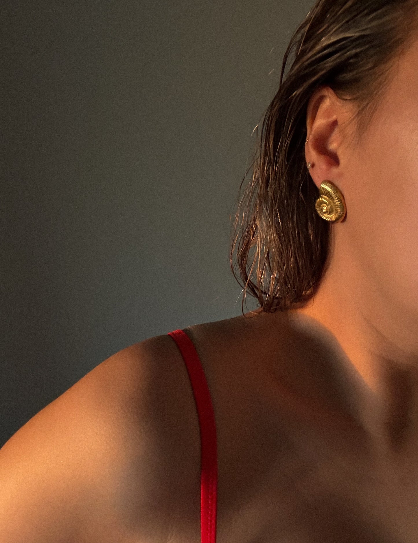 Aretes Caracola
