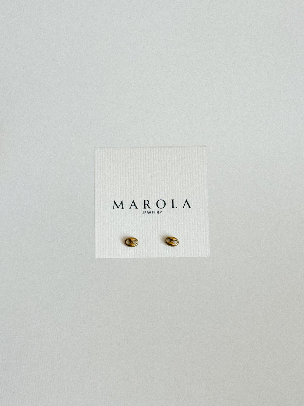 Aretes Pig