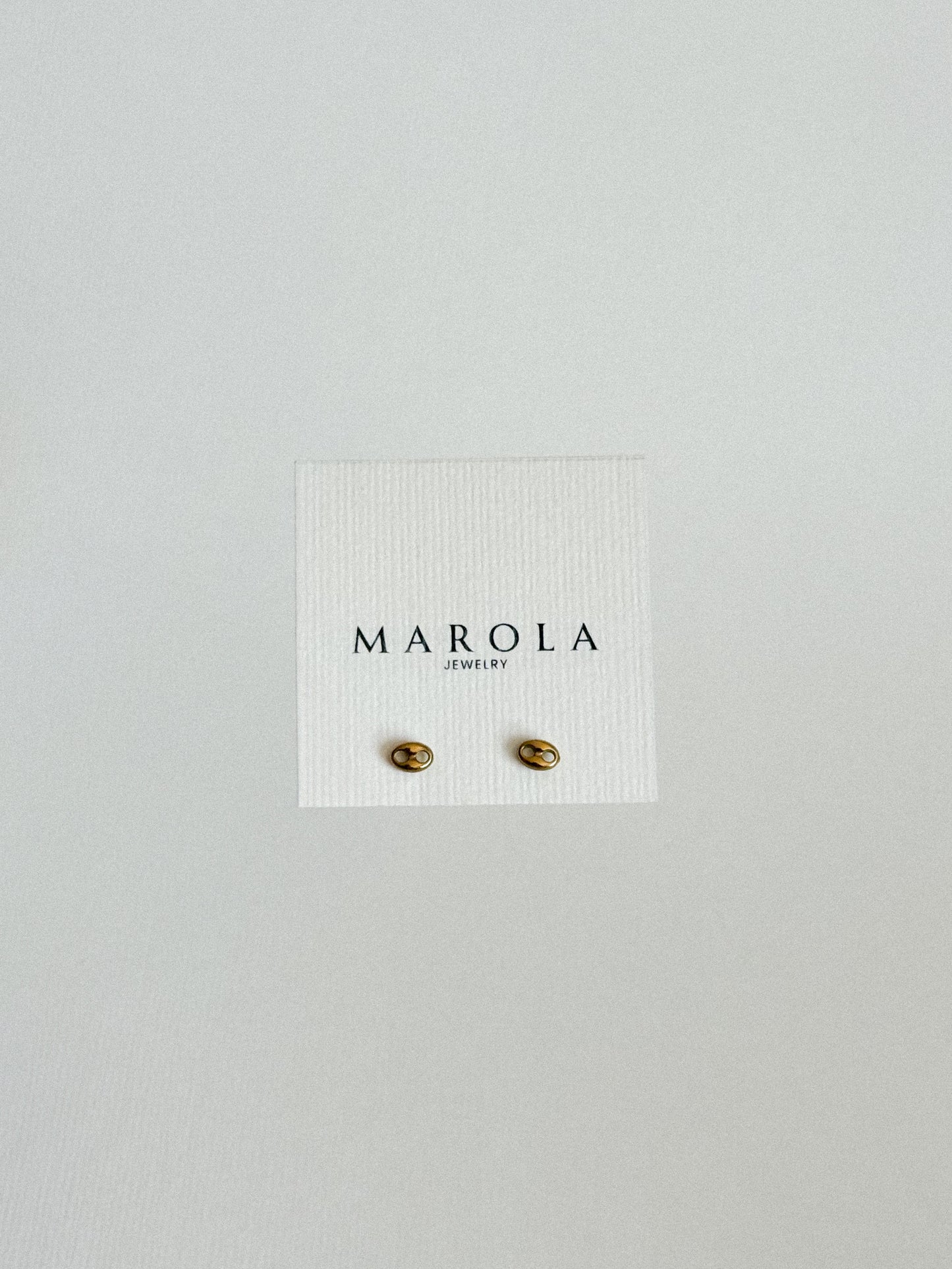 Aretes Pig