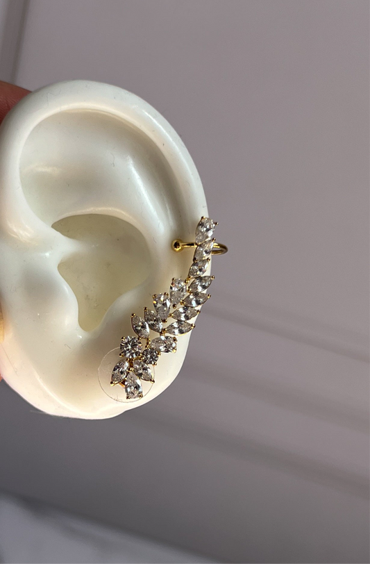 Aretes not my twin
