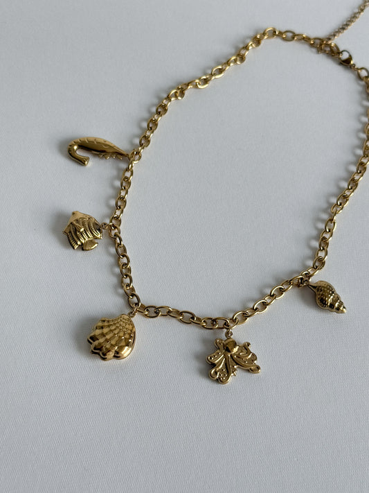 Collar Sea