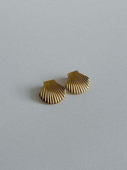 Aretes Seashell